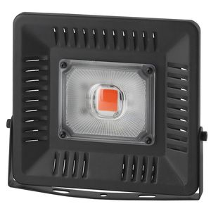 ��� FITO-50W-LED BLUERED ��� ������: �0039033