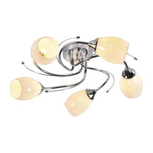 ������ Rivoli Antonia 9094-305 5 * �27 60 �� ������