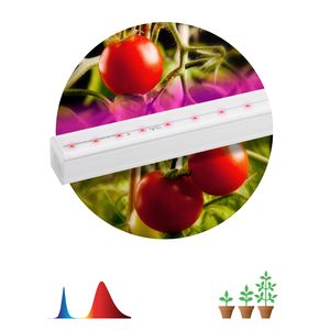 ��� �������� ���������� ������-������ ������� FITO-14W-�5-N ��� ������: �0045232