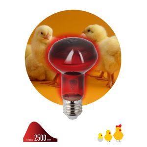������������ ����� ��� ���� 230-60 R63 �27 ��� �������� �������� 60 �� �27