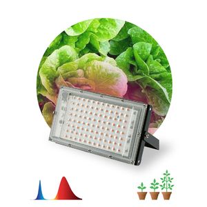������������� ��� �������� ������������ ��� FITO-80W-RB-LED-Y ������-������ �������