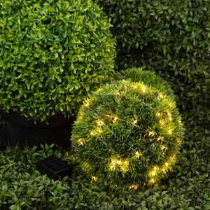 ������� �������� ��� ERASF22-42 �� ��������� ������� ���� ������ ���� 100 microLED, 10 �