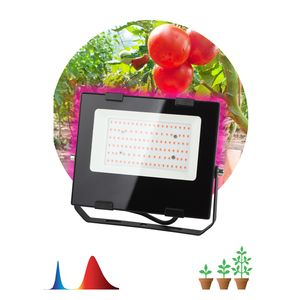 ��� ��������� ������-������ ������� FITO-50W-RB-LED ��� ������: �0046368