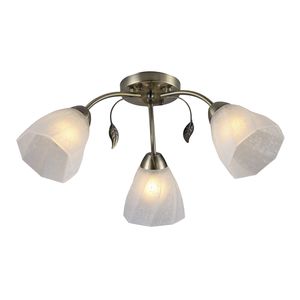 ������ Rivoli Olivia 9088-303 3 * �27 40 �� ������