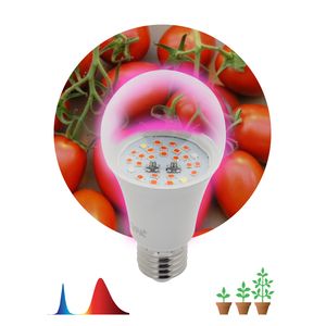 ��������� ��� �������� ������������ ��� FITO-10W-RB-E27 ������-������ ������� 10 �� �27