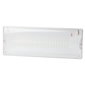 DPA-301-0-65 ��� ���������� ������������ ��������� ������������ 40LED 3� IP65 NiCD ��� ������: �0044405