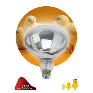 ������������ ����� ��� ��� 220-250 R127 E27, ��������� 1 ��., ��� �������� �������� � ���������, 250 ��, �27