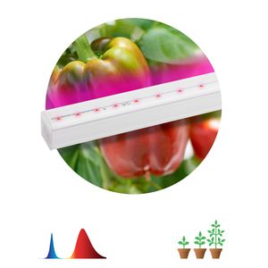 ��� �������� ���������� ������-������ �������FITO-16W-�5-N ��� ������: �0045233